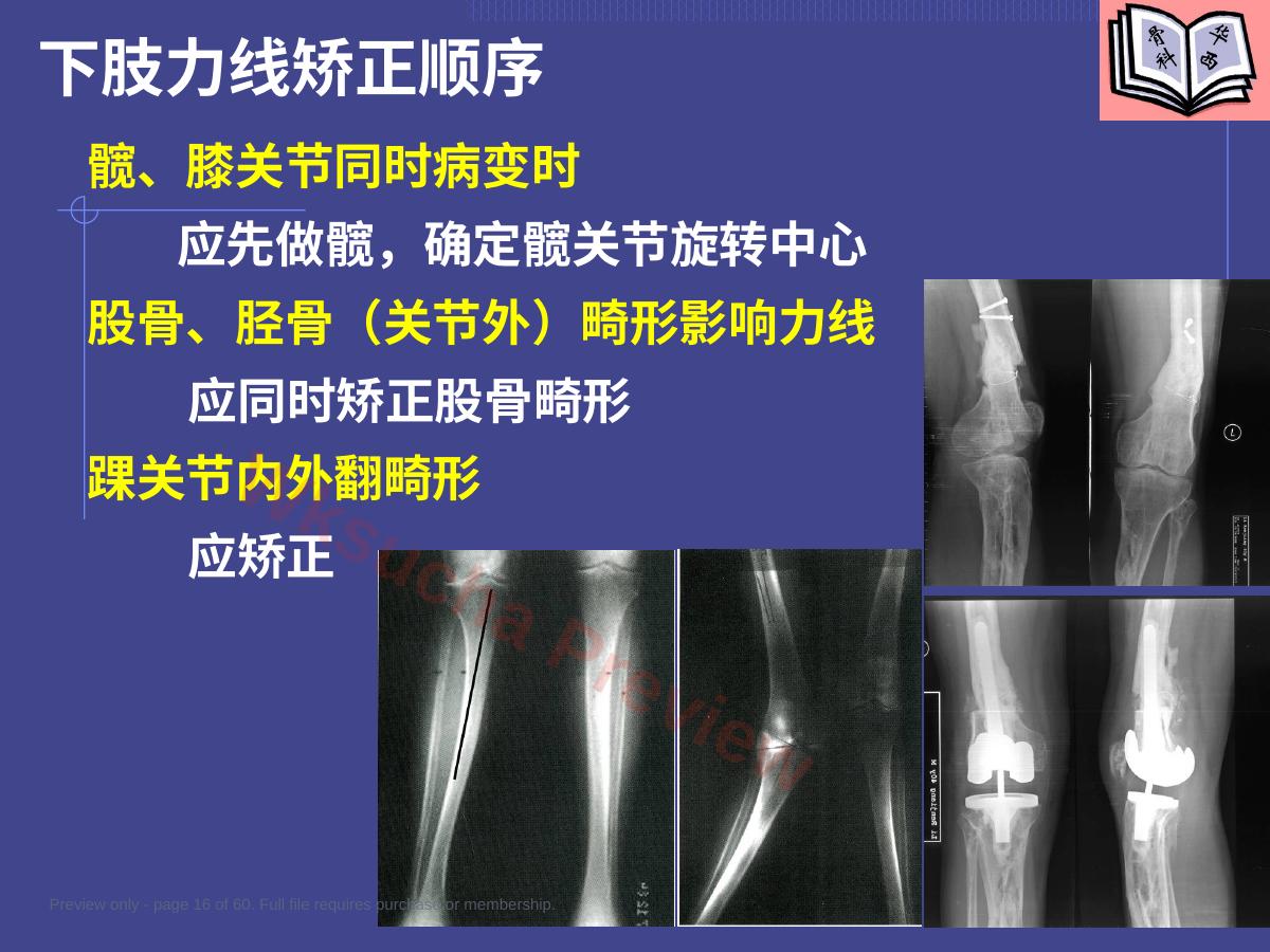 预览第 16 页