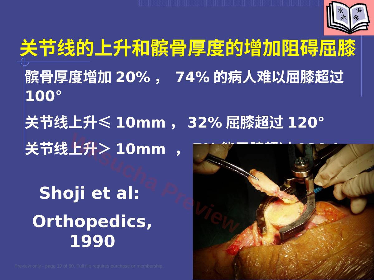 预览第 19 页
