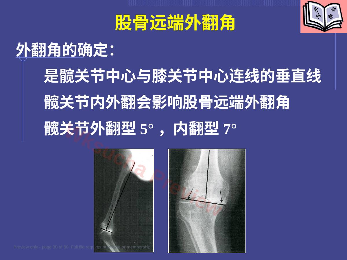 预览第 30 页