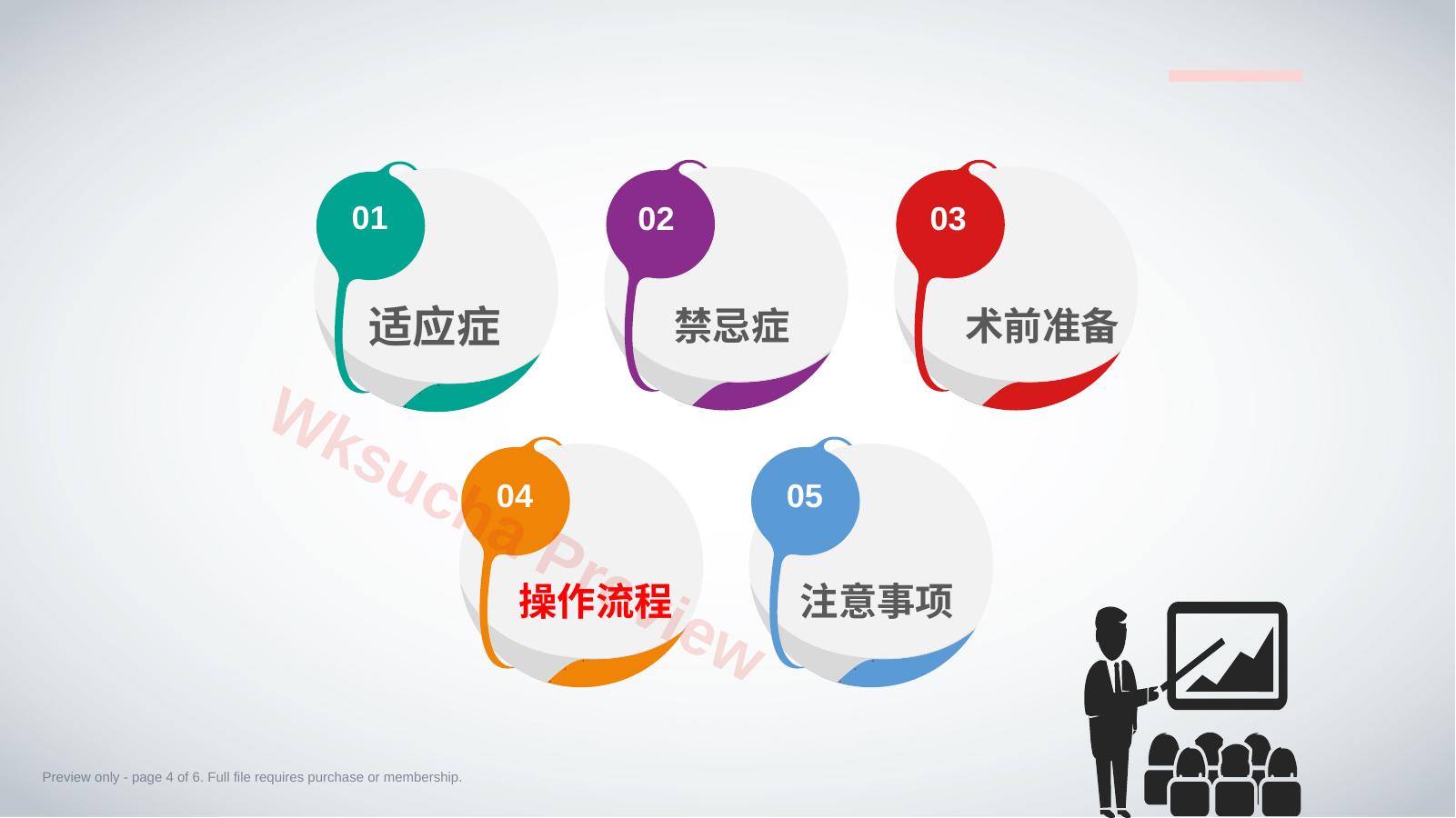 预览第 4 页