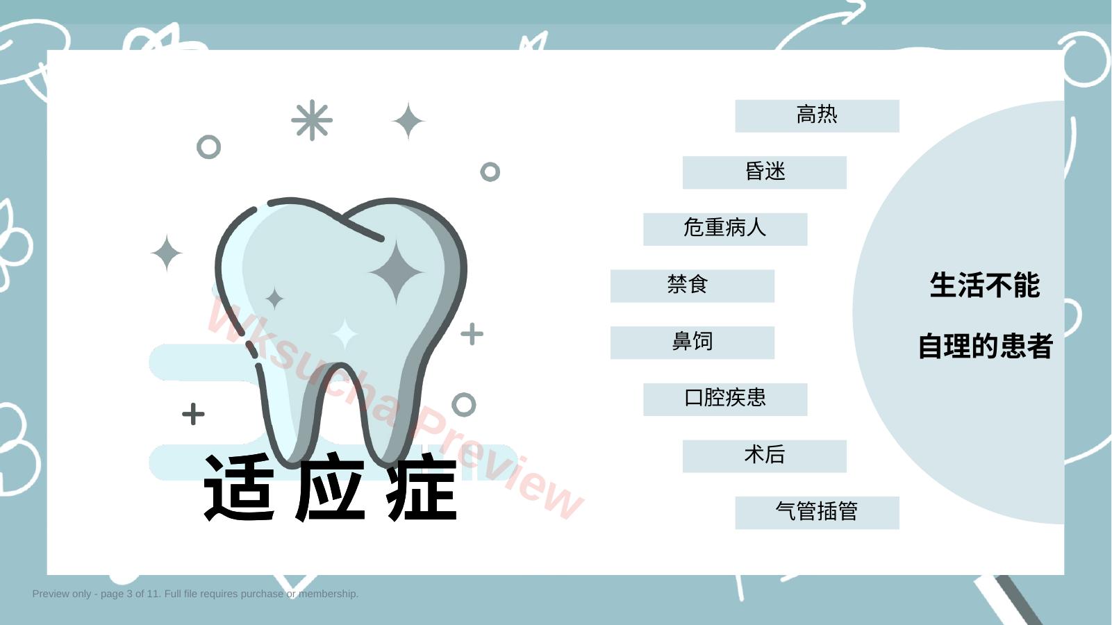 预览第 3 页