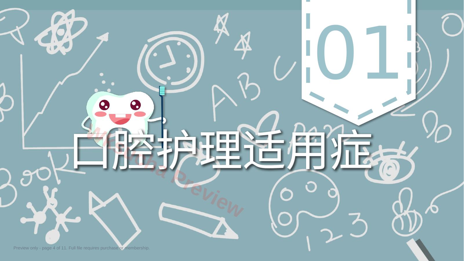 预览第 4 页