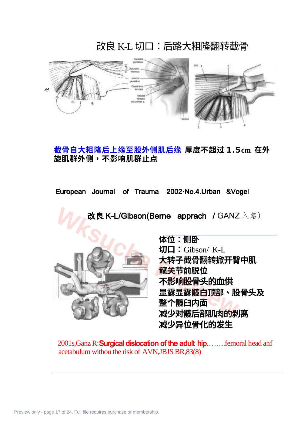 预览第 17 页