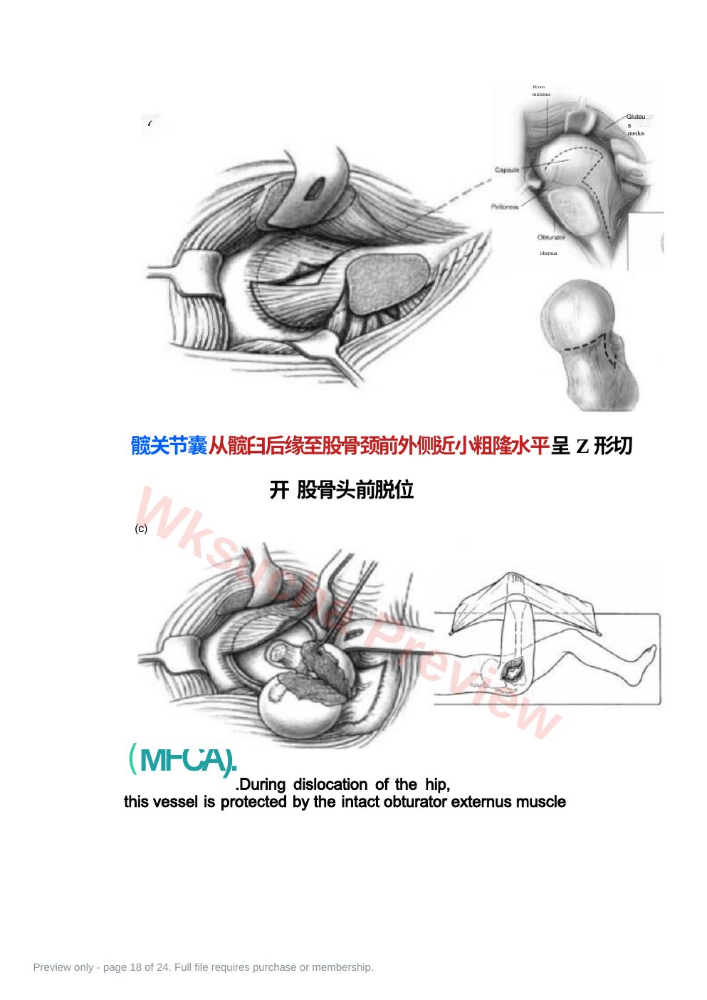 预览第 18 页