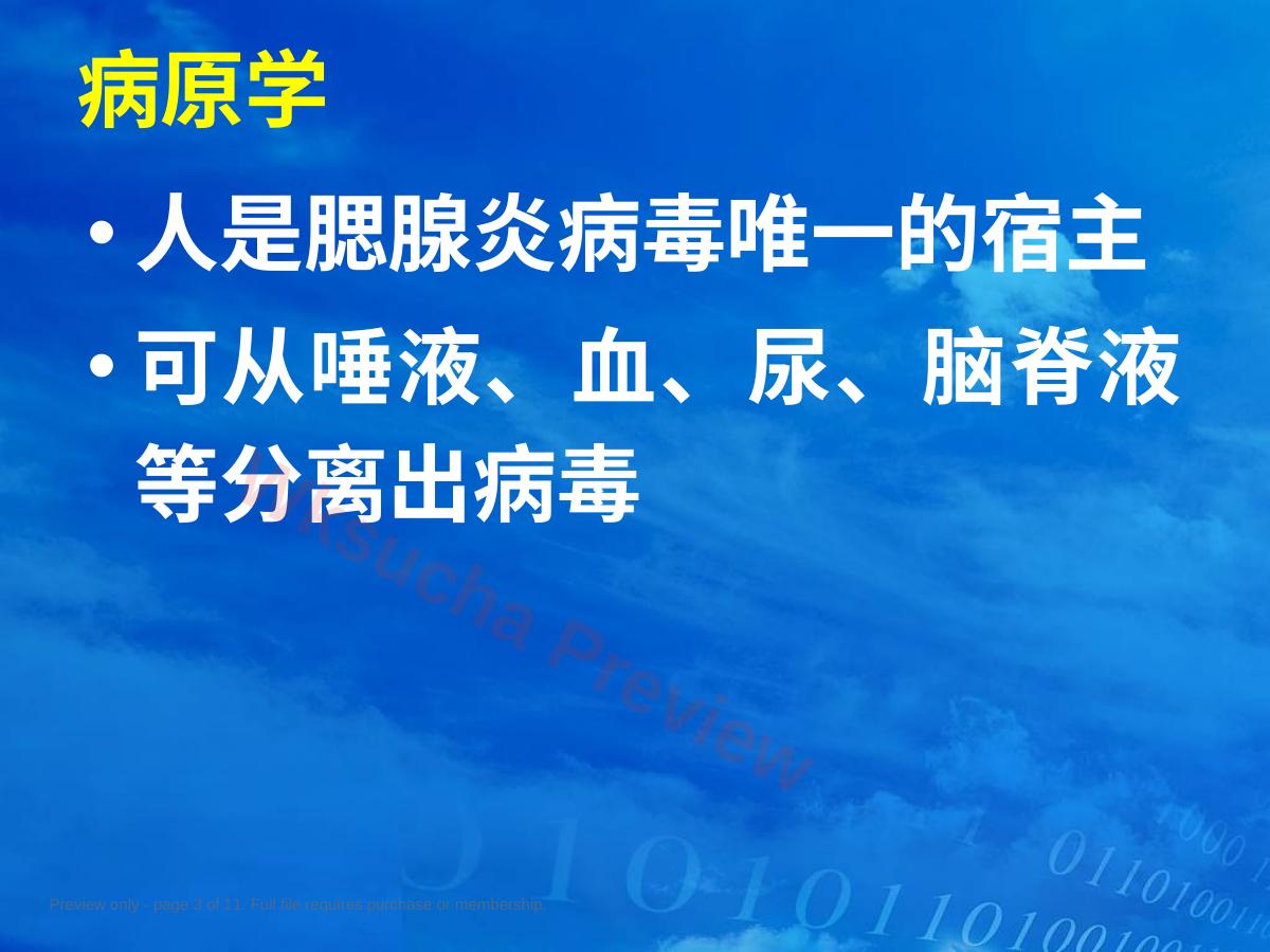 预览第 3 页