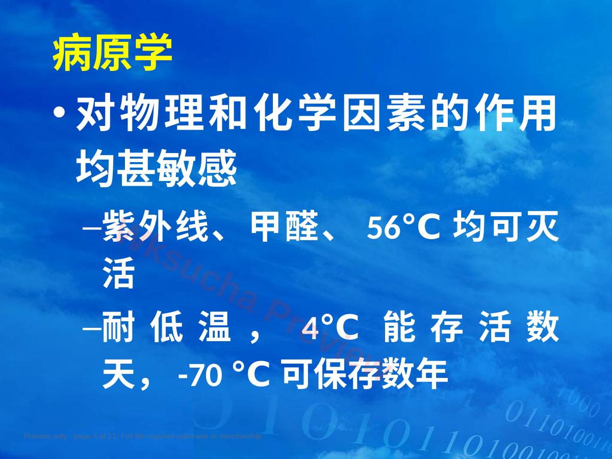 预览第 4 页