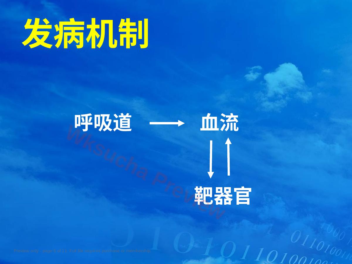 预览第 6 页