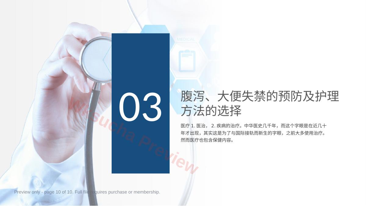 预览第 10 页