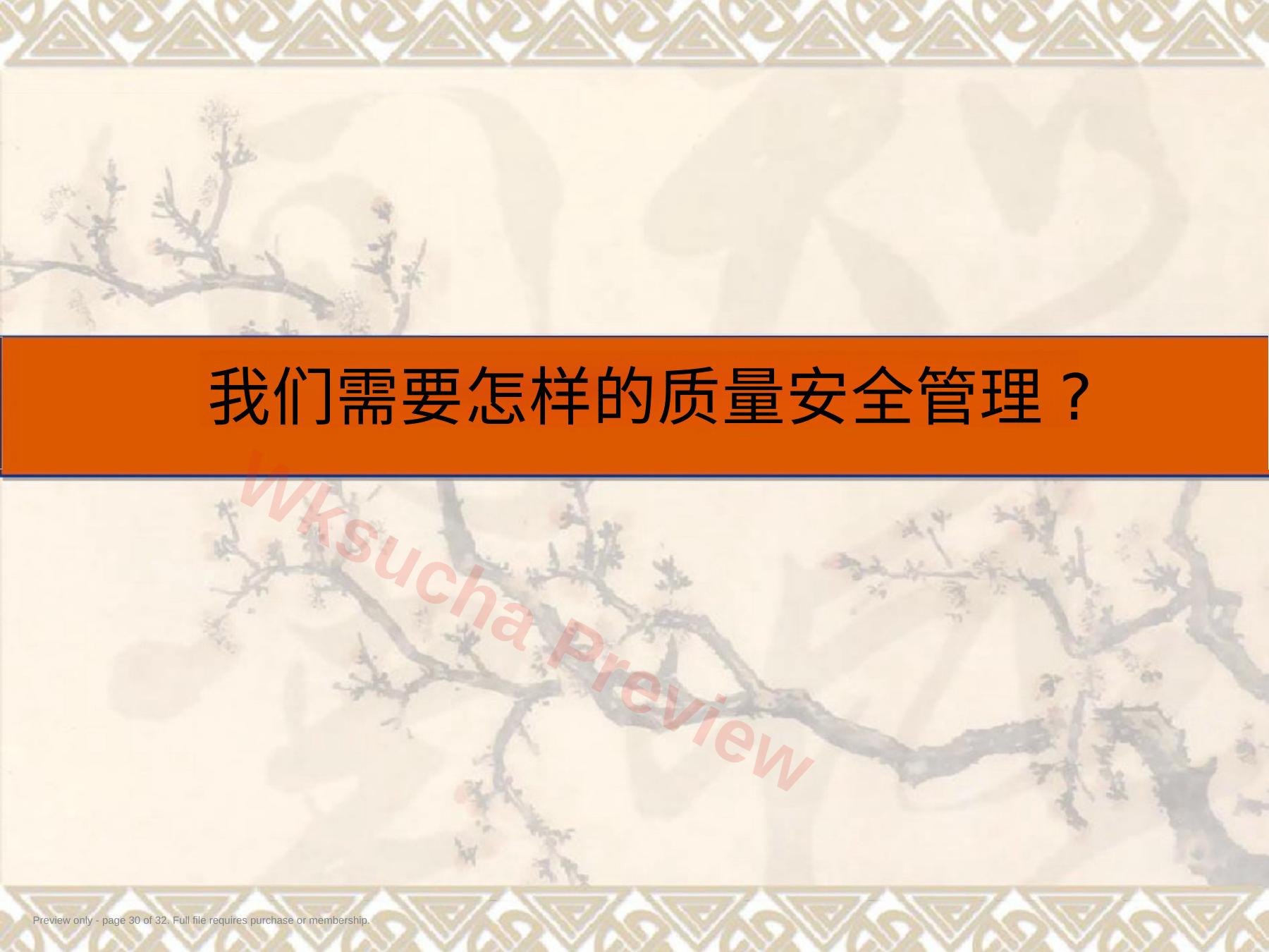 预览第 30 页