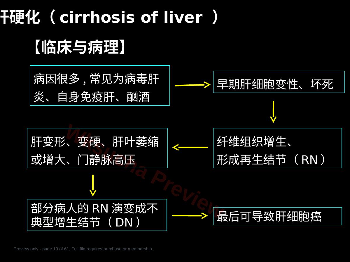 预览第 19 页