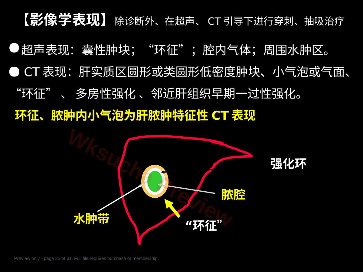 预览第 25 页