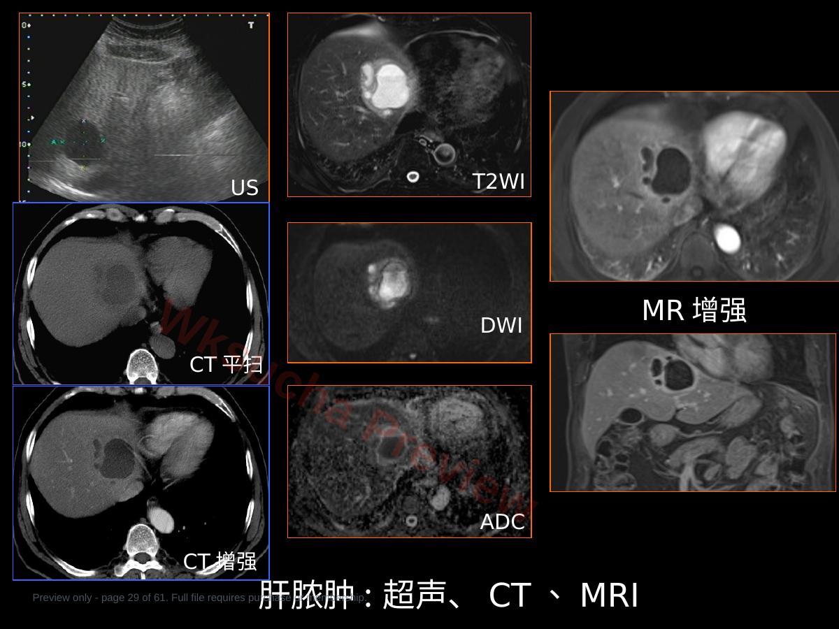 预览第 29 页