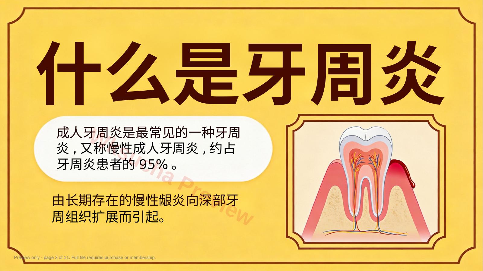 预览第 3 页