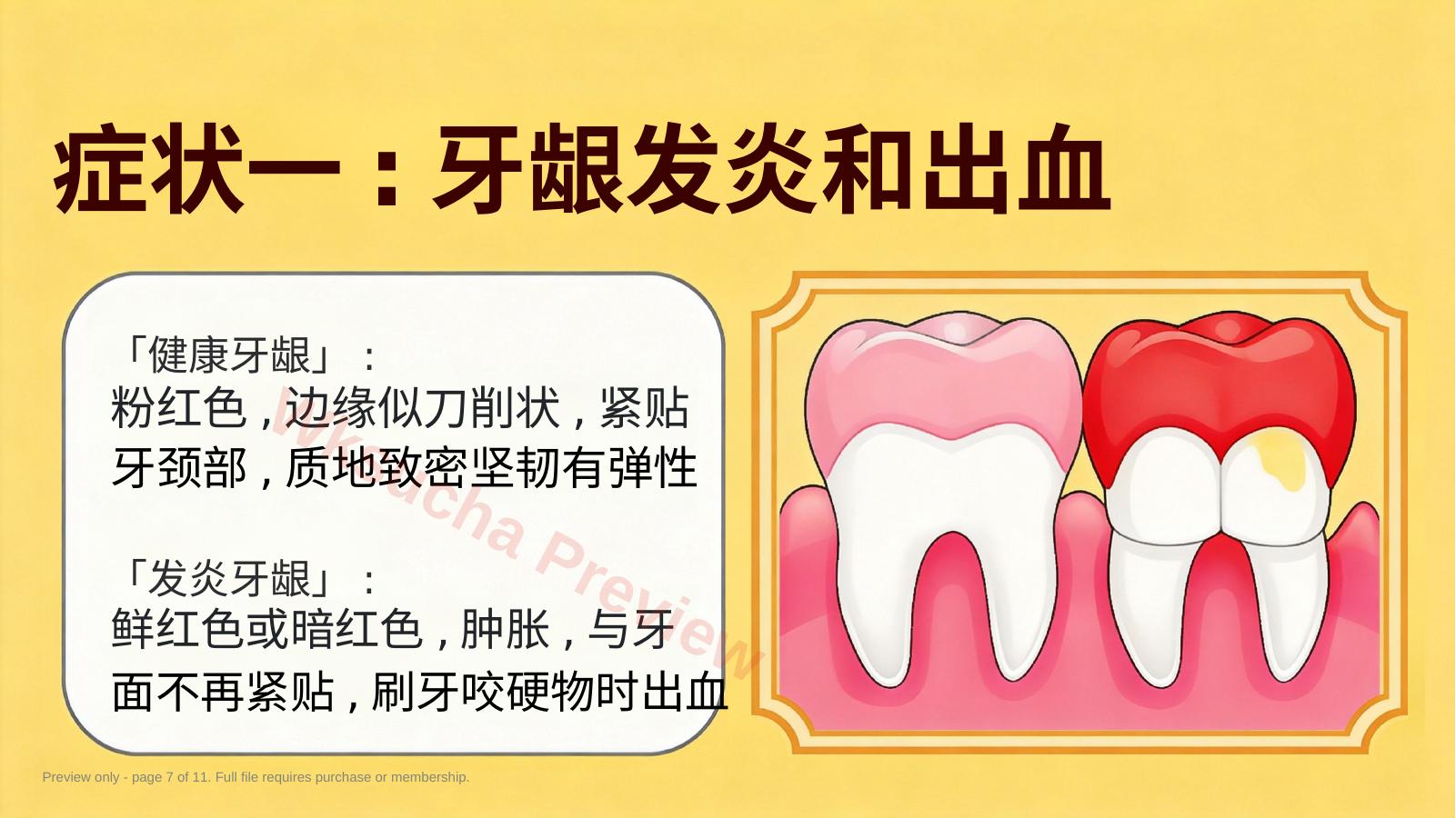 预览第 7 页