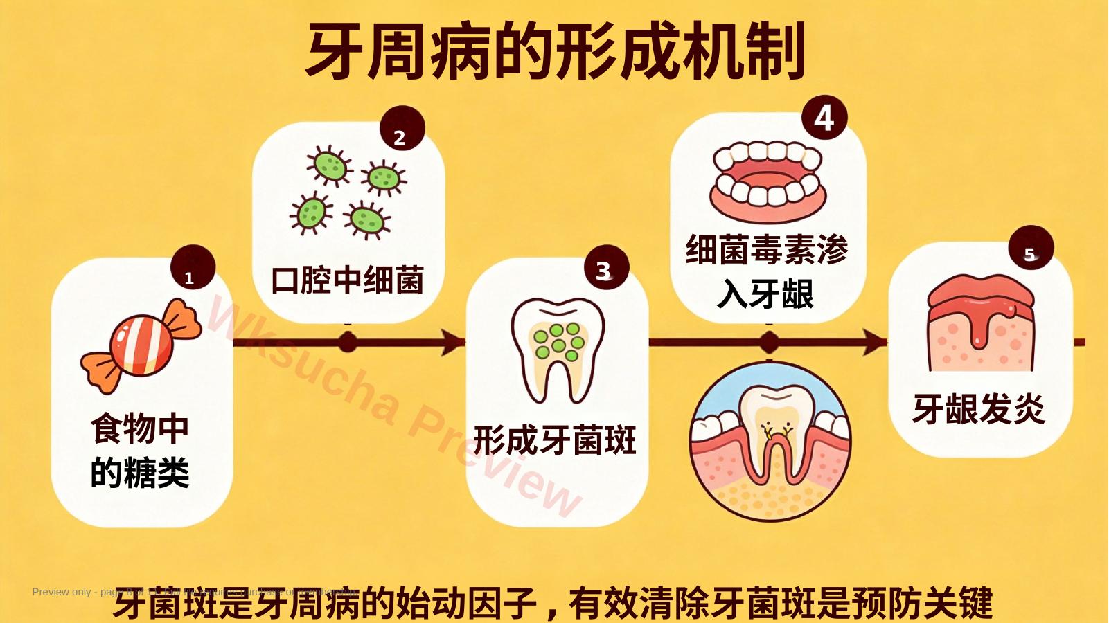 预览第 8 页