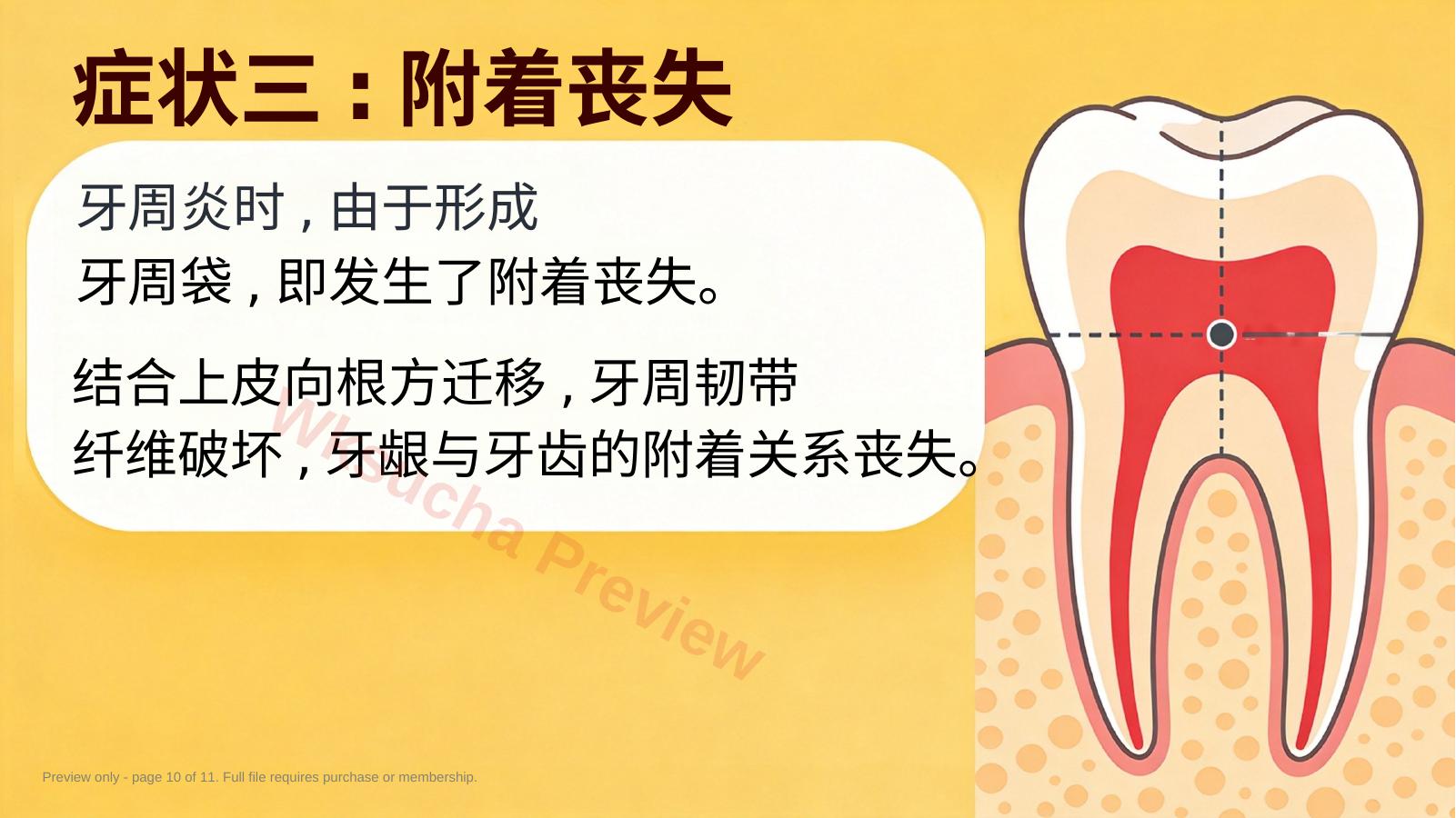 预览第 10 页