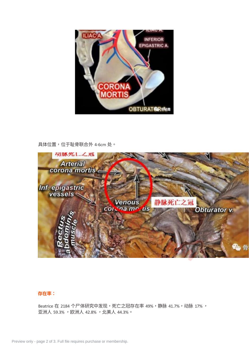 预览第 2 页
