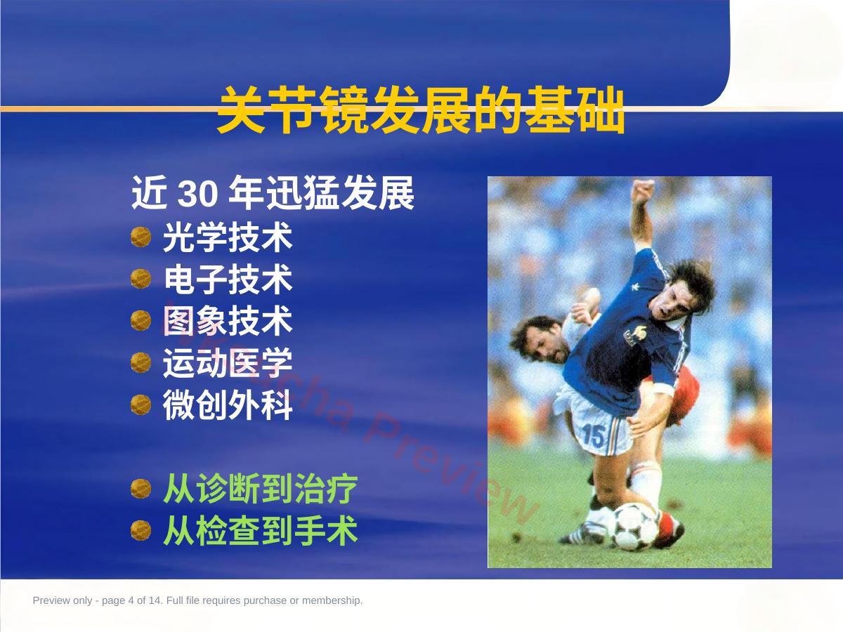 预览第 4 页