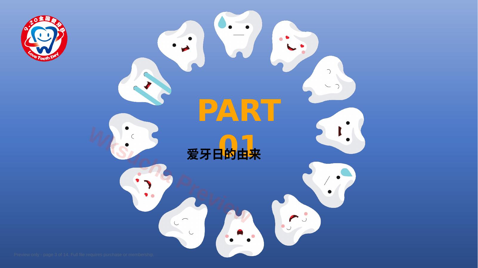 预览第 3 页
