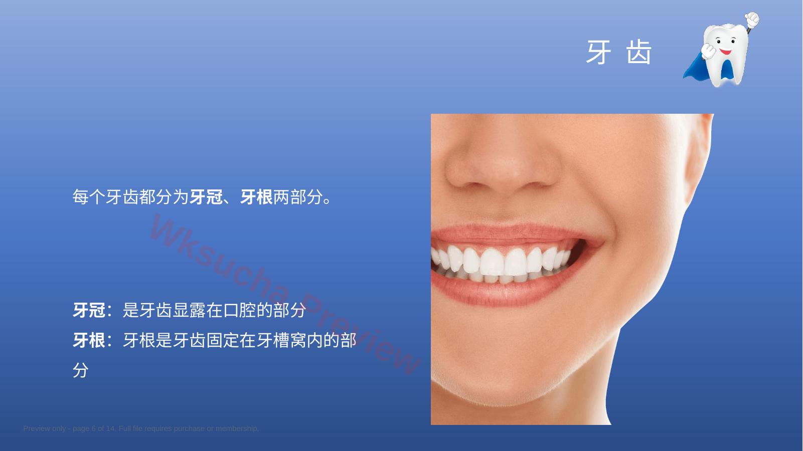 预览第 6 页