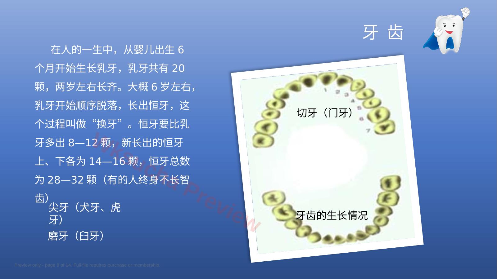 预览第 8 页