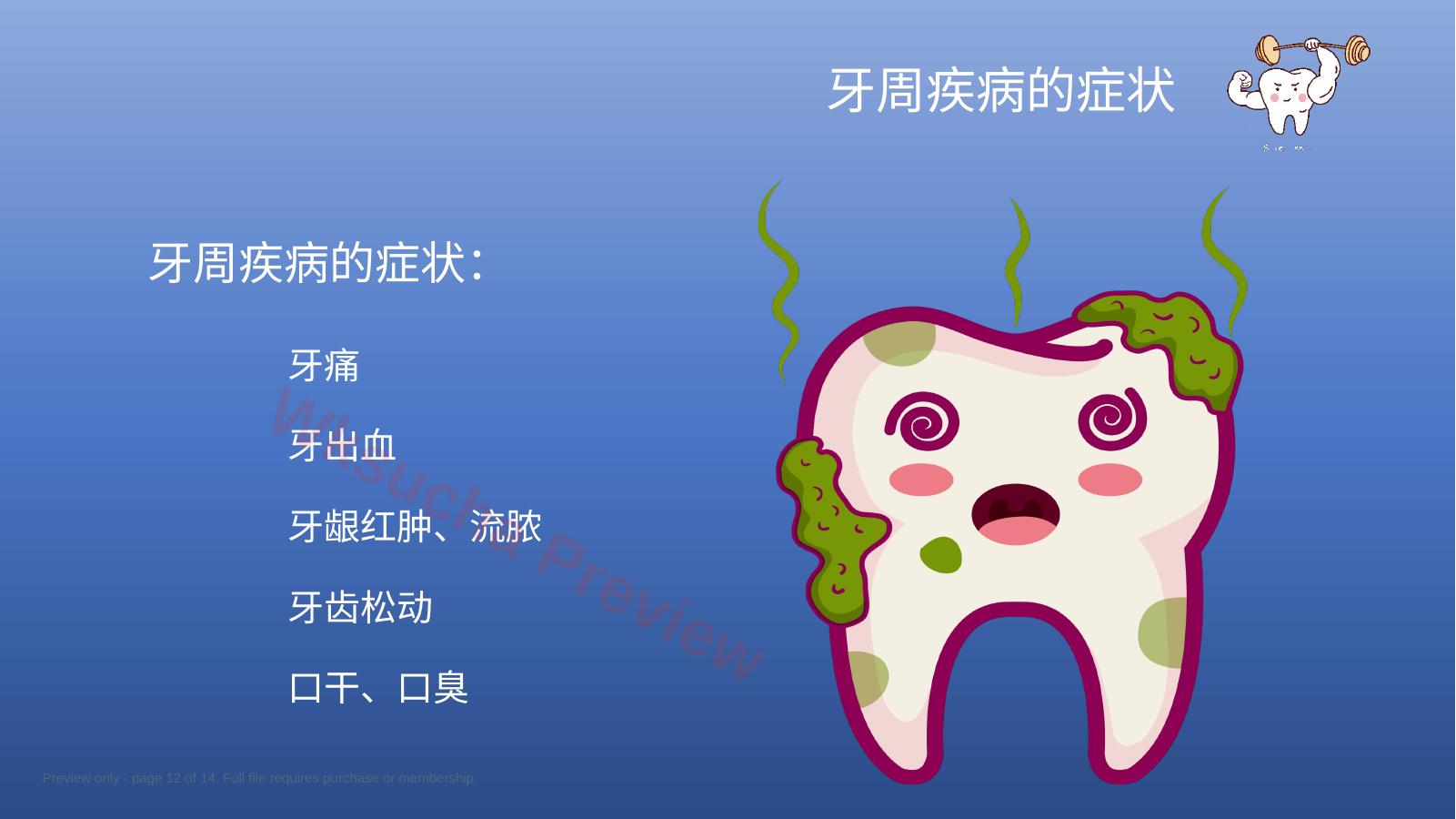 预览第 12 页