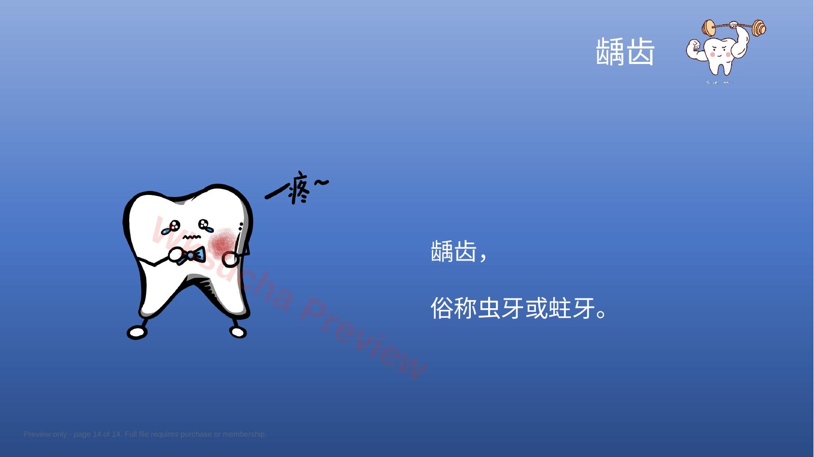 预览第 14 页