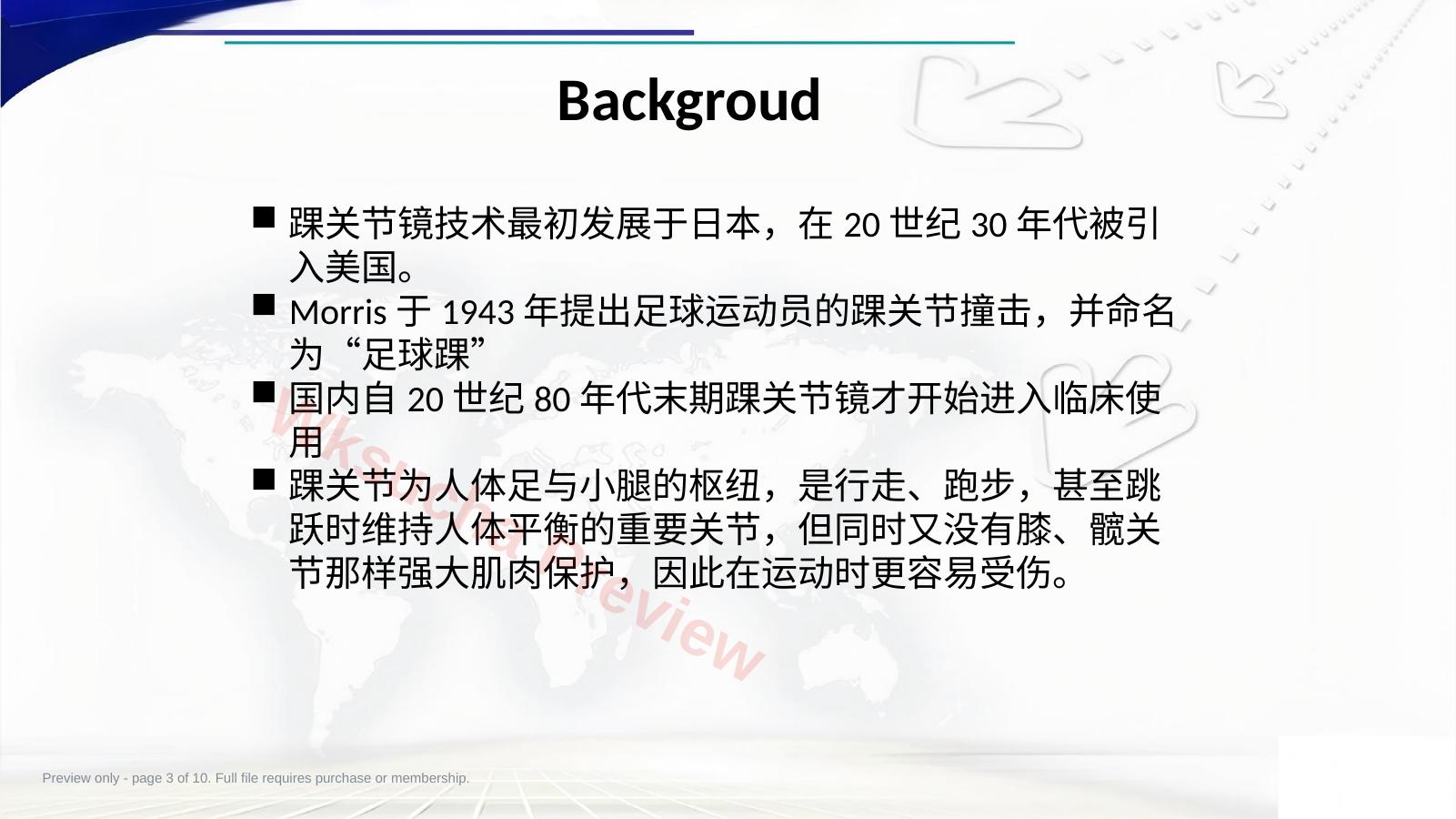 预览第 3 页