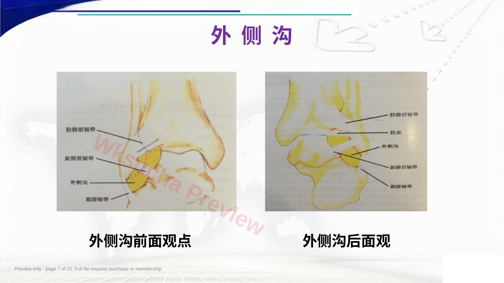 预览第 7 页