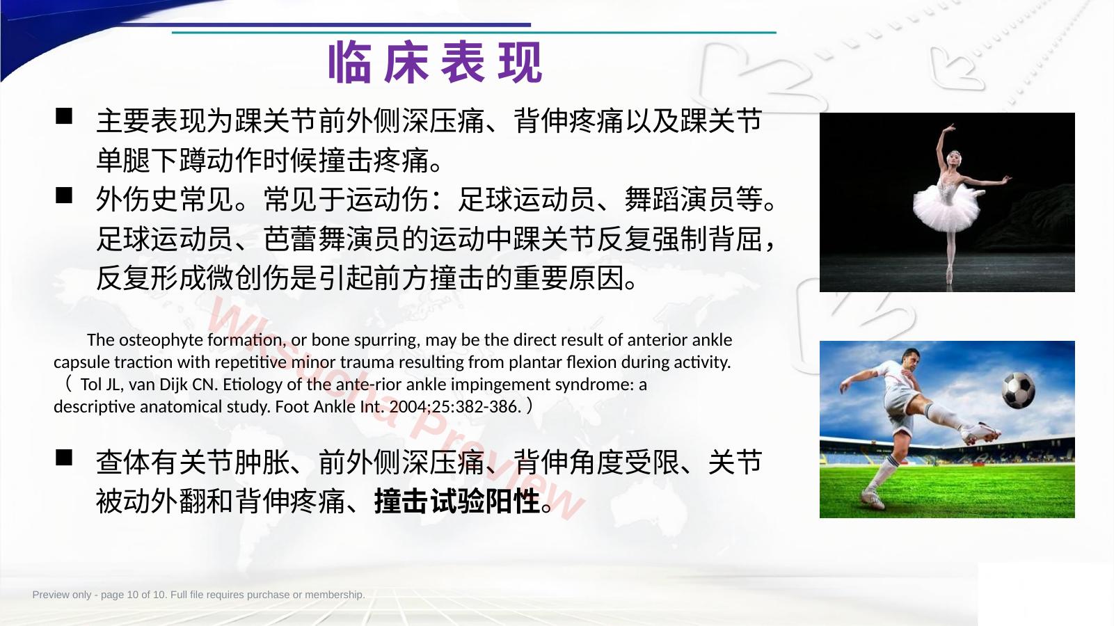 预览第 10 页