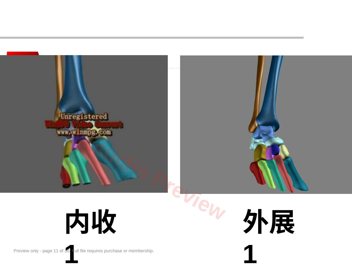 预览第 11 页