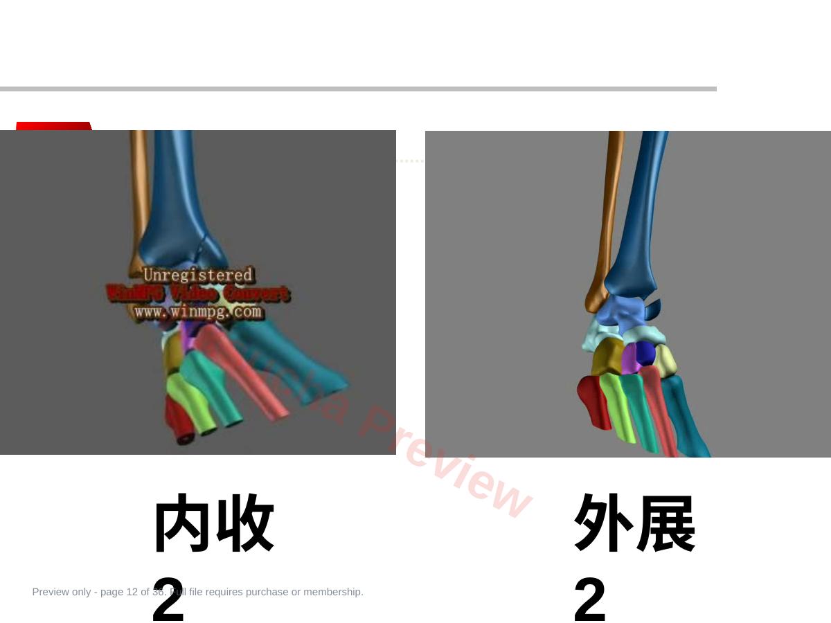 预览第 12 页