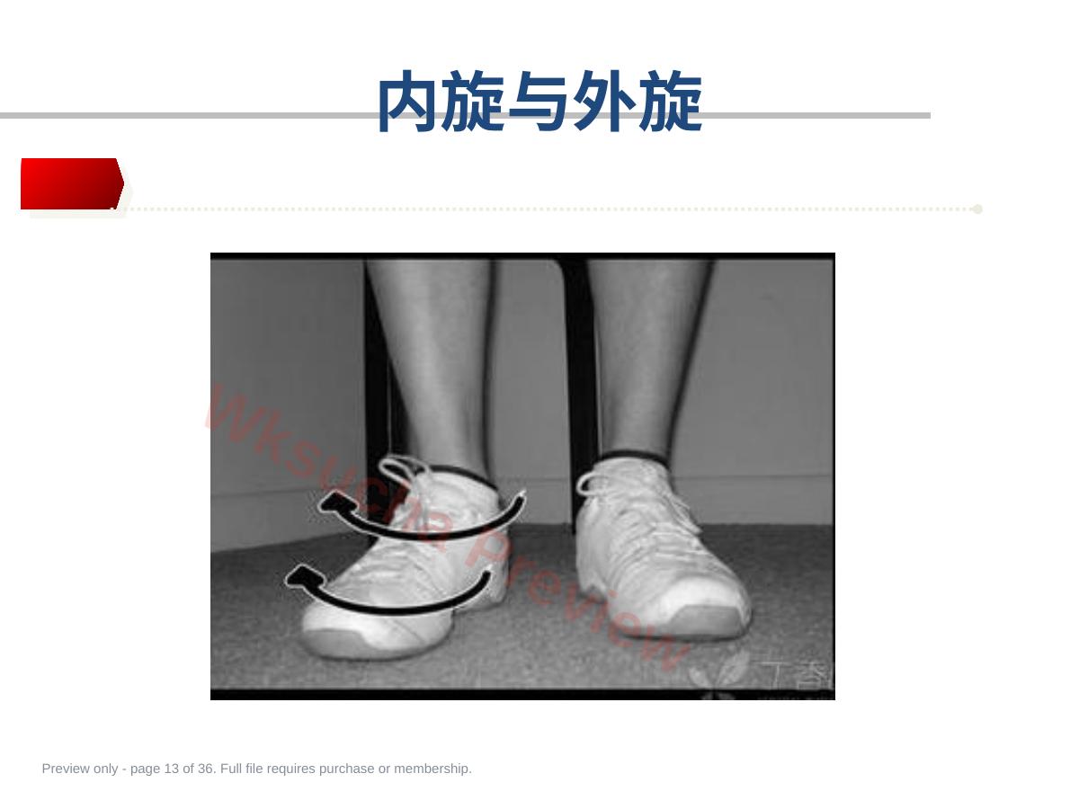 预览第 13 页