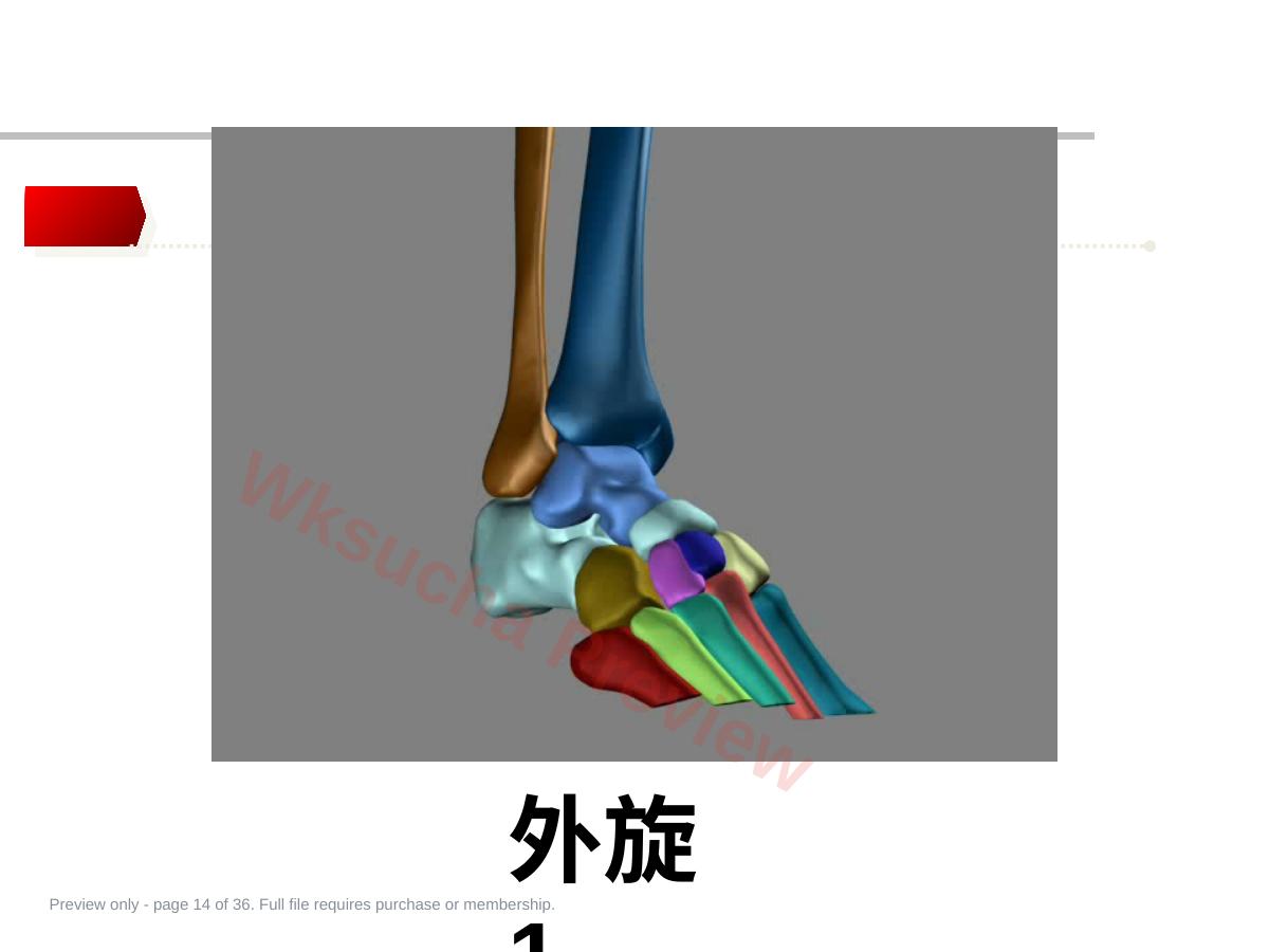 预览第 14 页