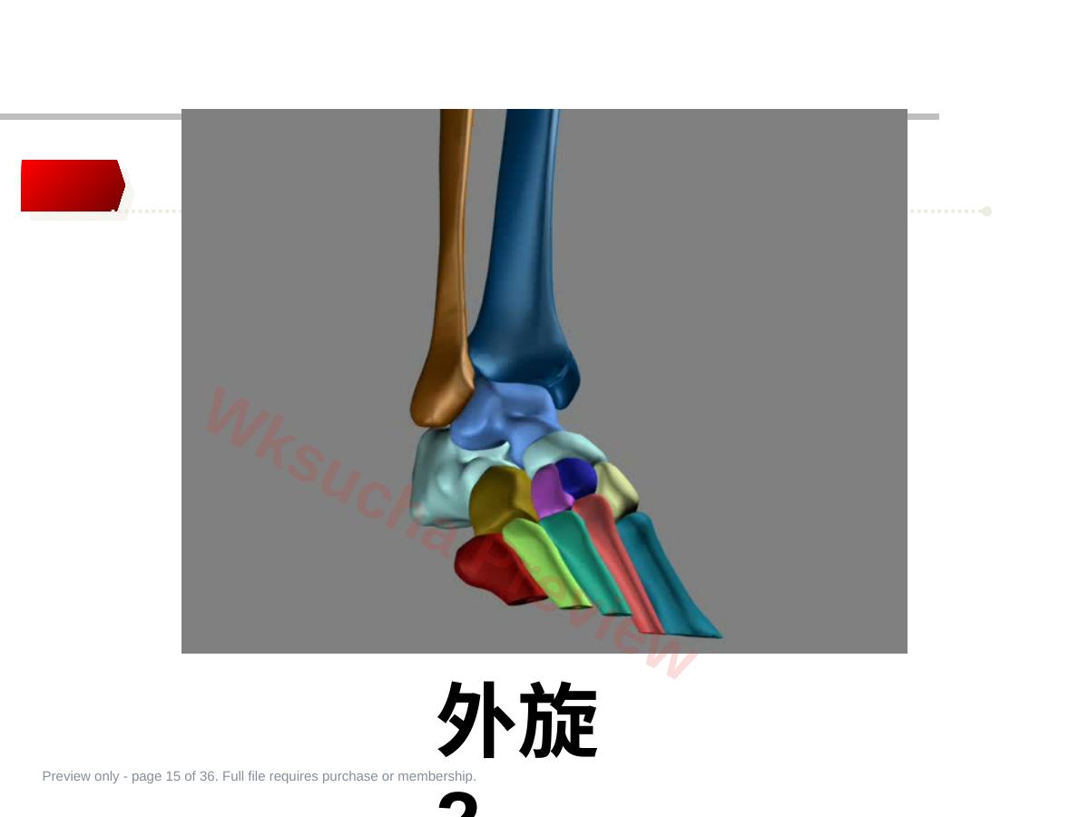预览第 15 页