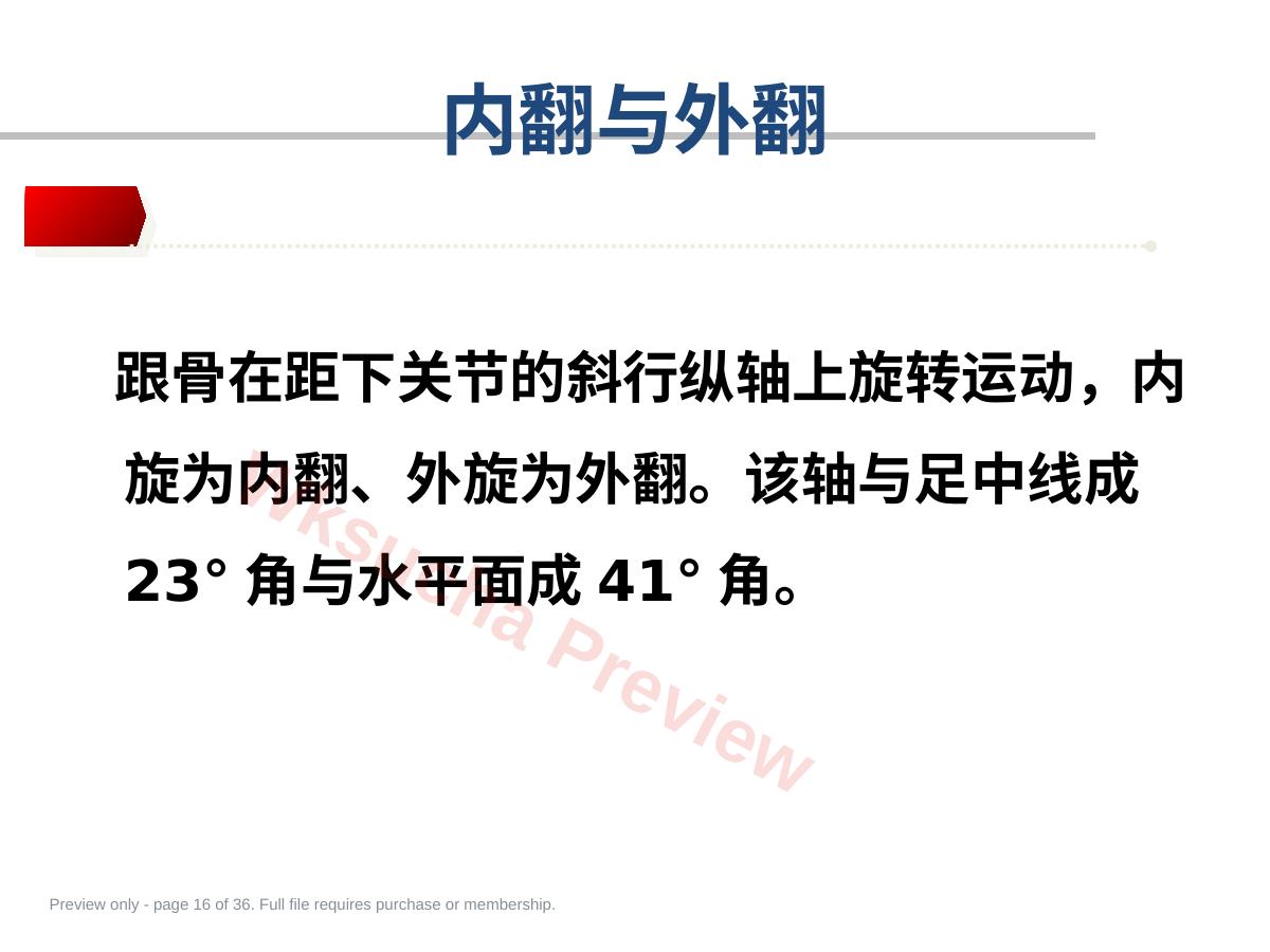 预览第 16 页