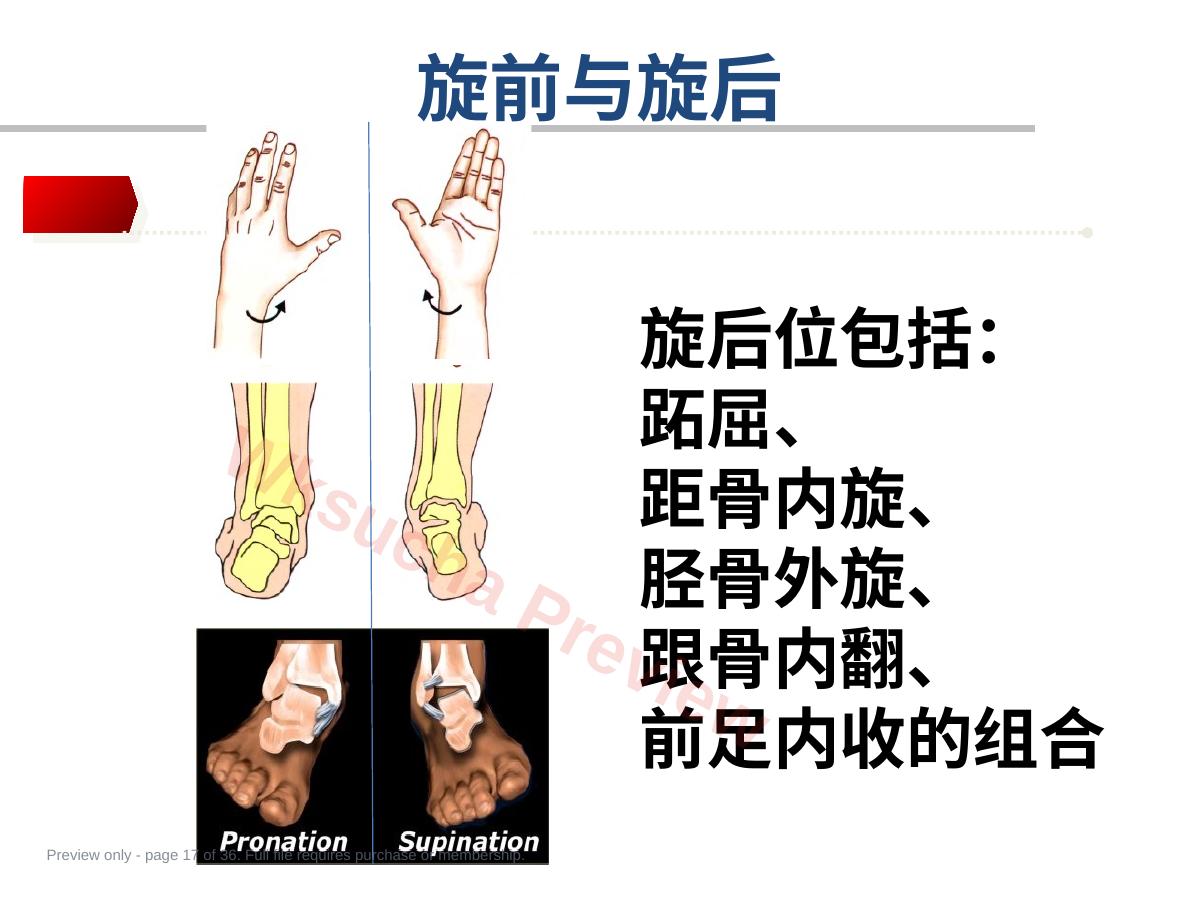 预览第 17 页