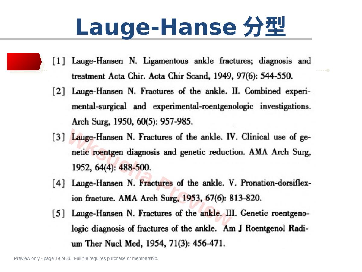 预览第 19 页