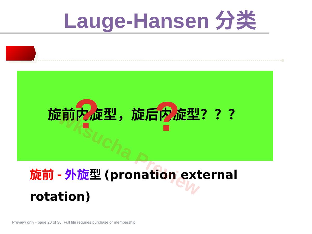 预览第 20 页