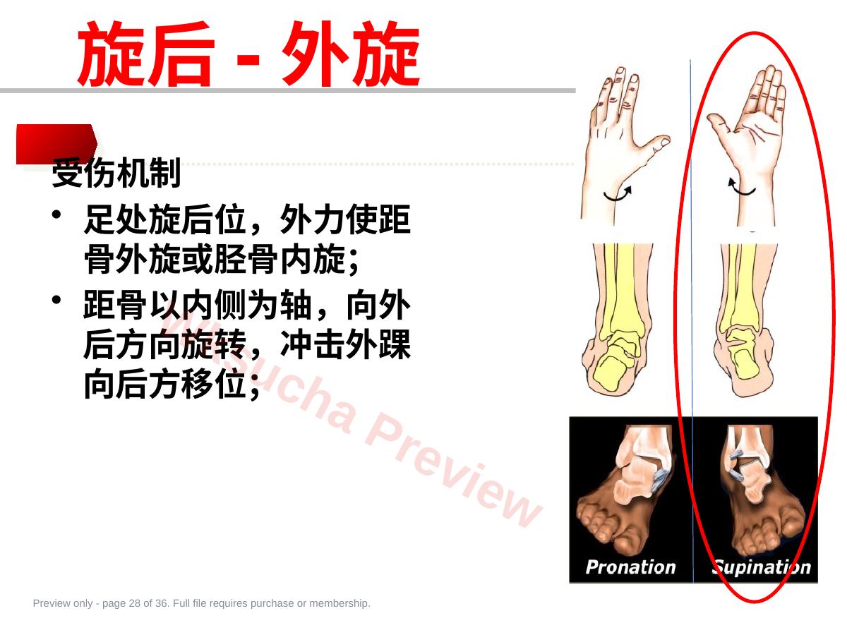 预览第 28 页