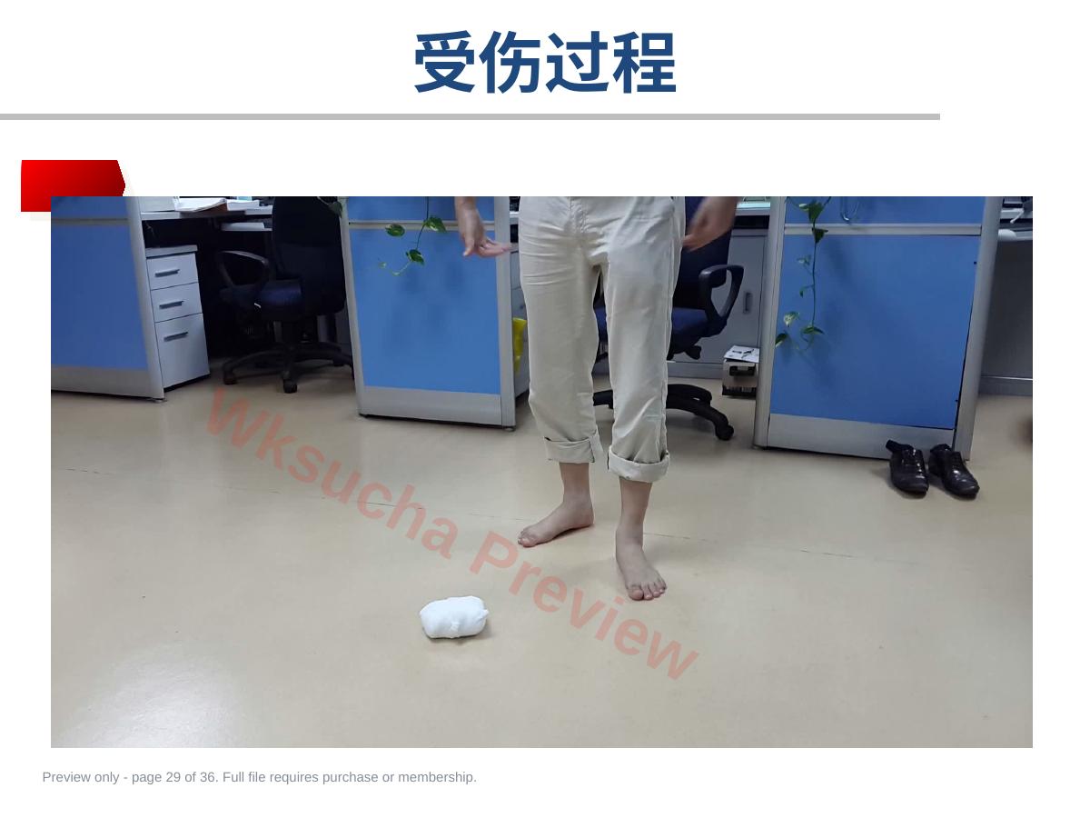 预览第 29 页