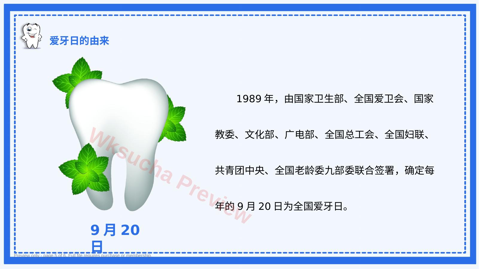 预览第 5 页