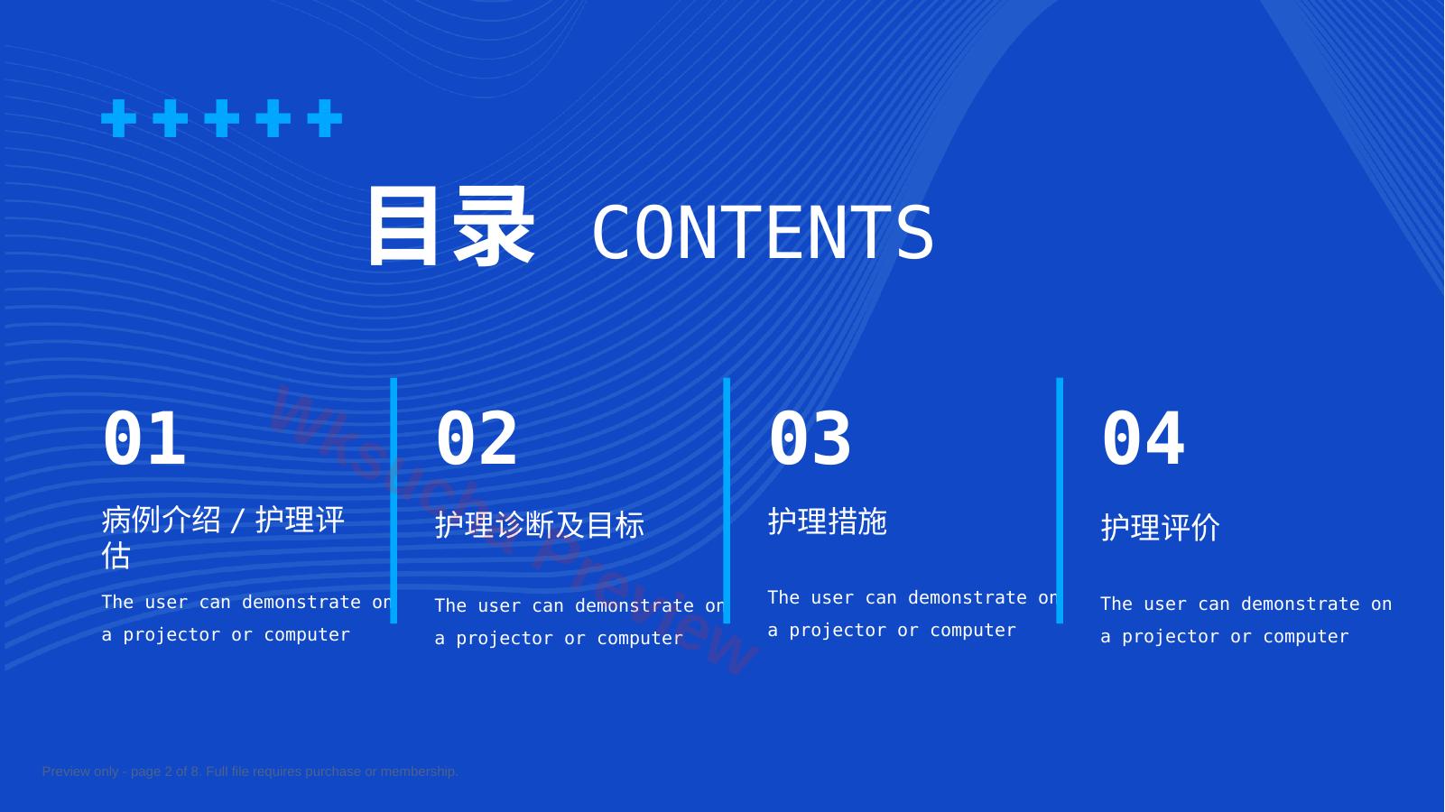 预览第 2 页