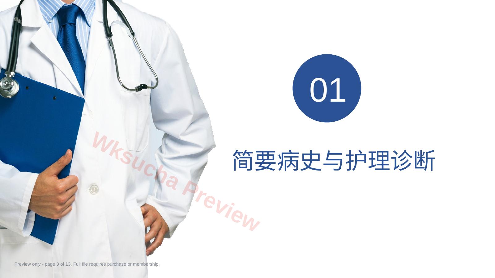 预览第 3 页