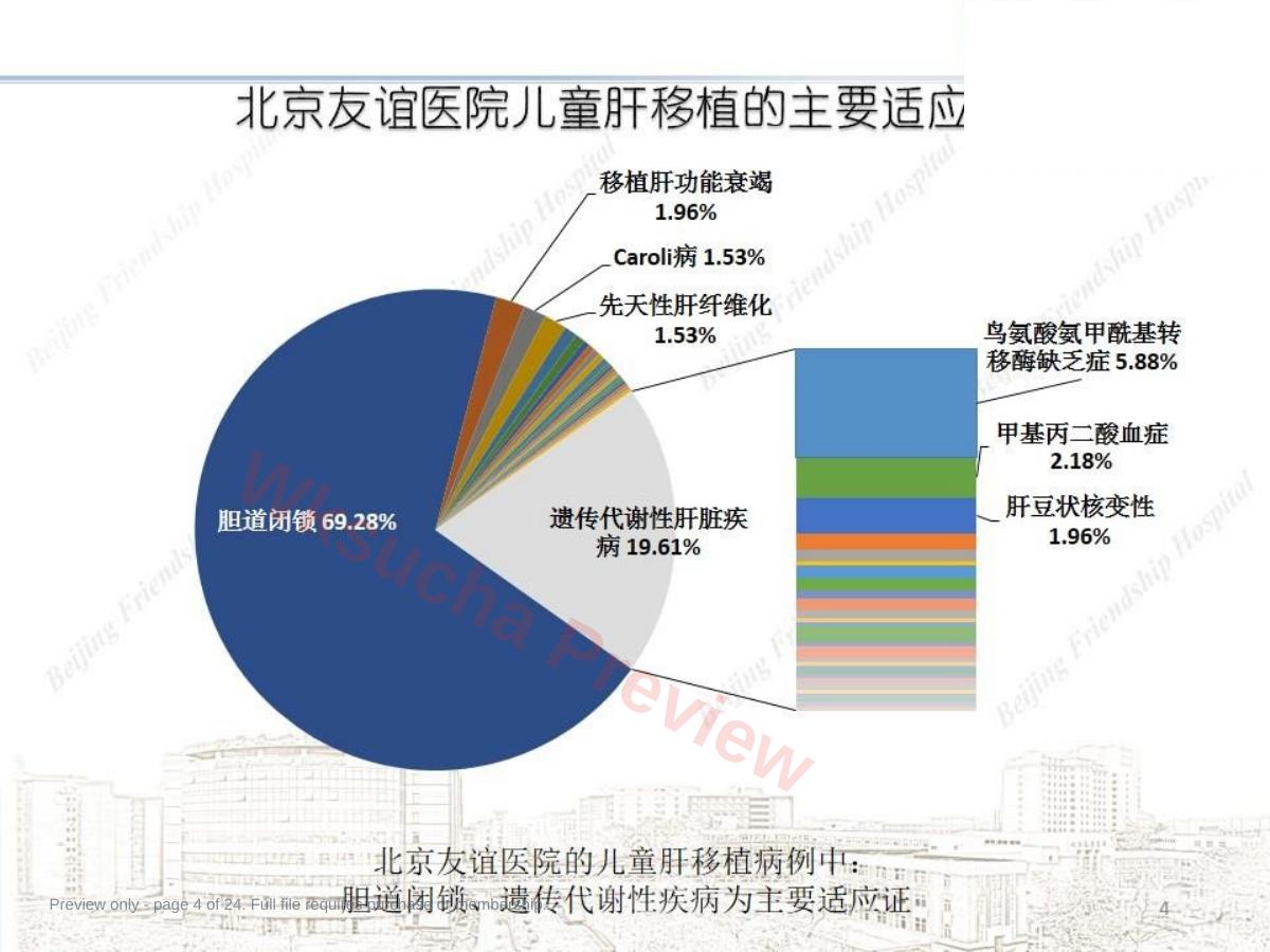 预览第 4 页