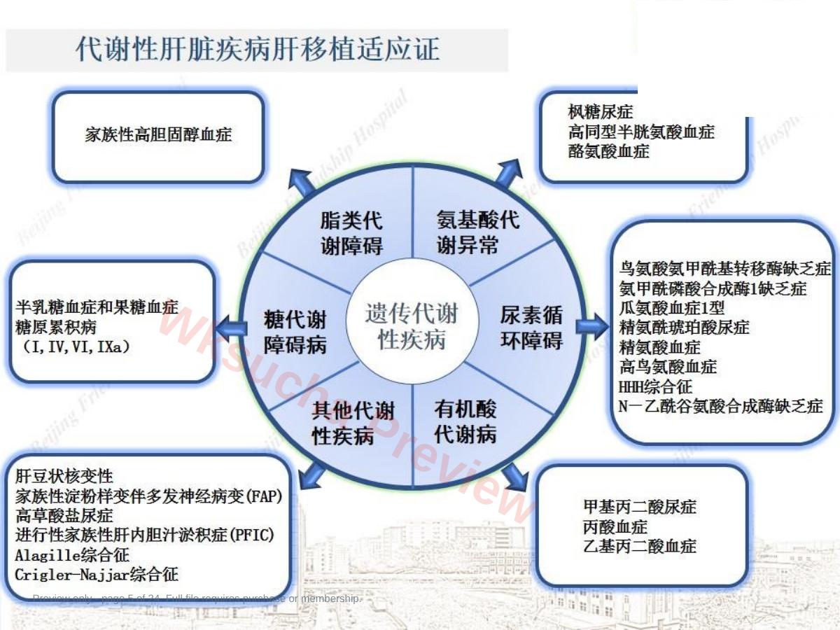 预览第 5 页