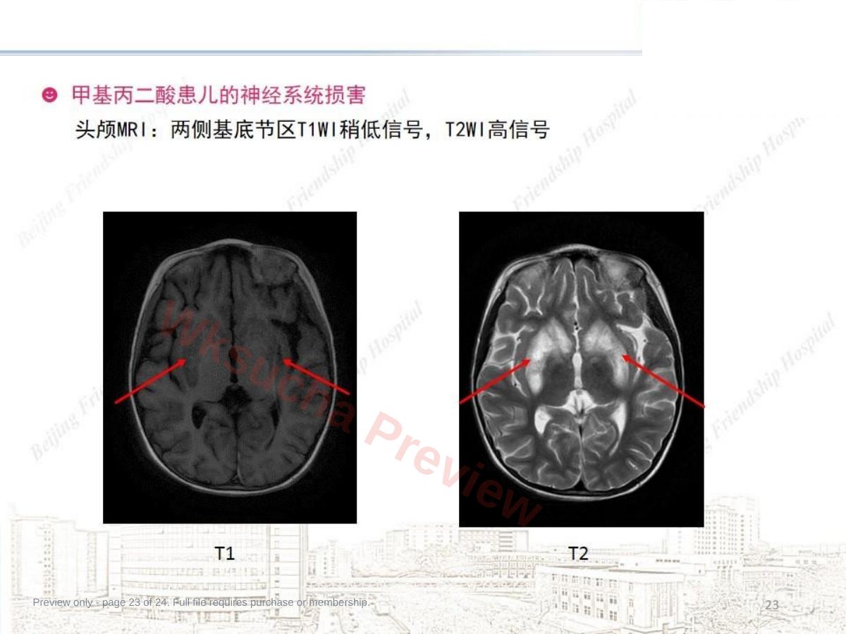 预览第 23 页
