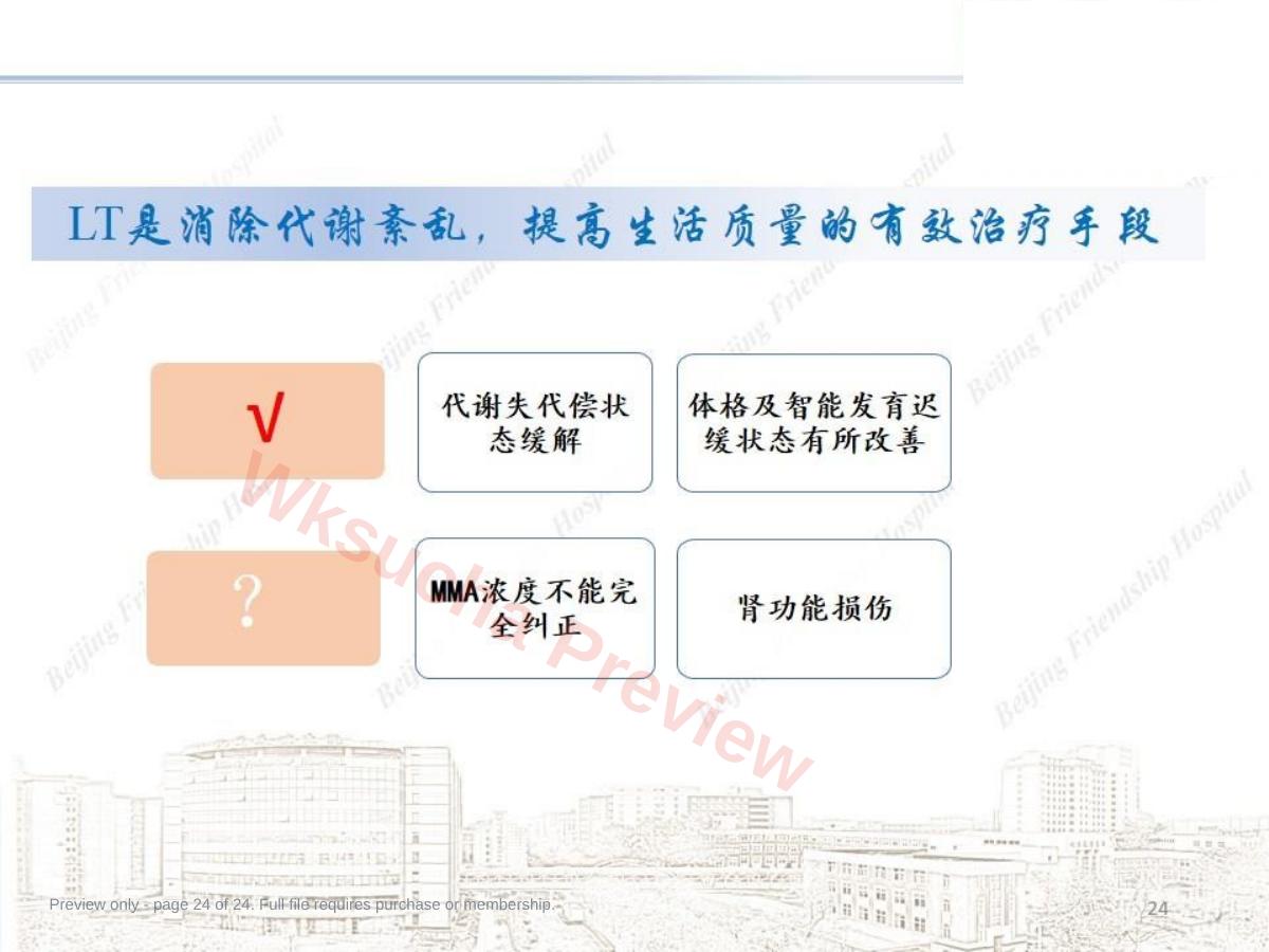 预览第 24 页