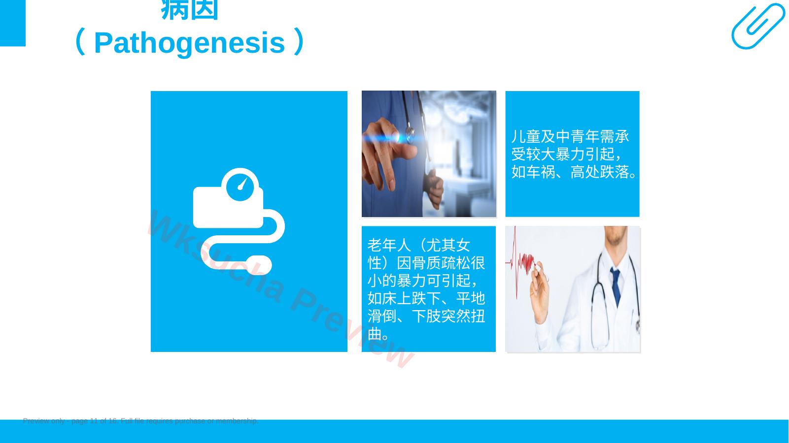 预览第 11 页