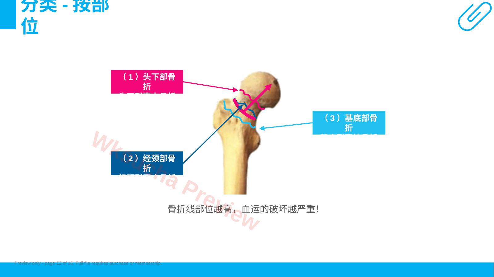 预览第 12 页